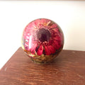 Globe